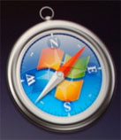 Safari on Windows Logo