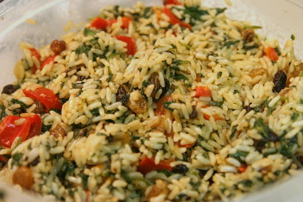 Mediterranean Spinach and Rice Close Up