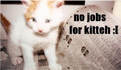 No Jobs For Kitteh!