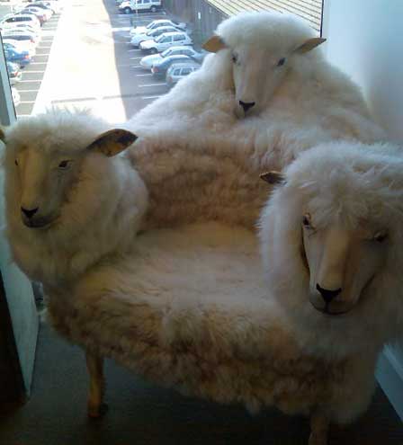 Strange sheep-head chair