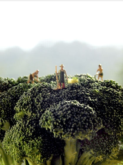 Tiny people on top of broccoli