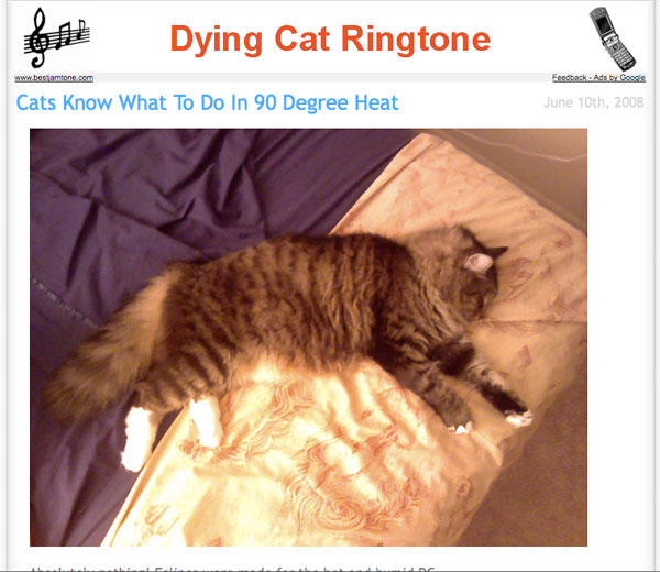 Who would want a dying cat ringtone?